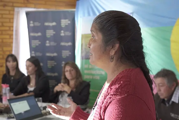Nora Romero, a representative from the Mapuche Millaqueo community, addresses participants during the public hearing for the Environmental Impact Assessment (EIA) of the Antú I Solar project.