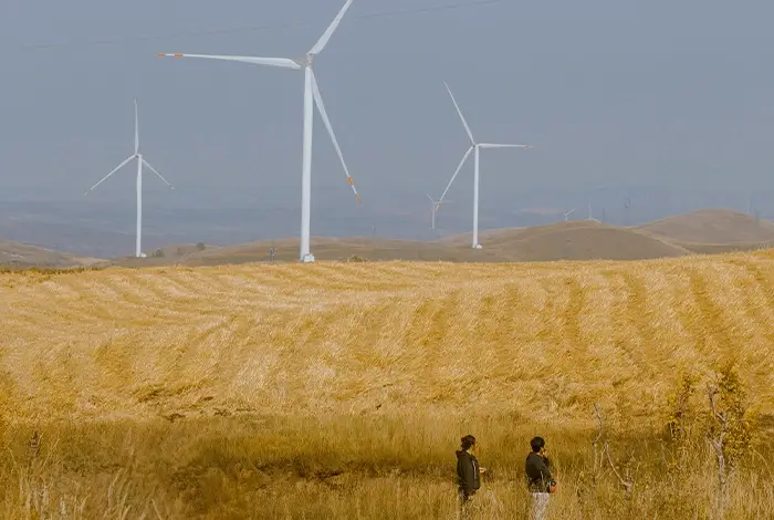 Community members from the Global South observing a large-scale wind farm.
